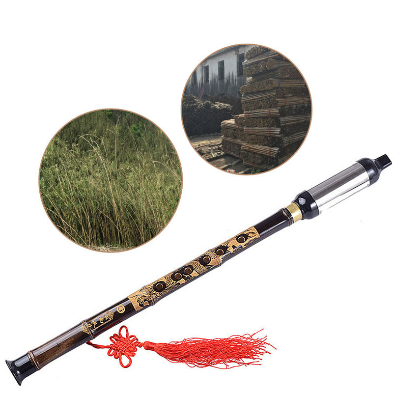 China's National Musical Instrument the Black Bamboo Bawudi