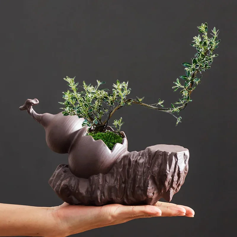 Chinese Purple Clay Gourd Bonsai Pot – Zen Bamboo Landscape Desktop Planter Basin