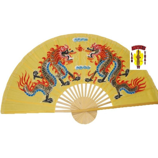 Hand Painted Dragon  Fan J-F-17