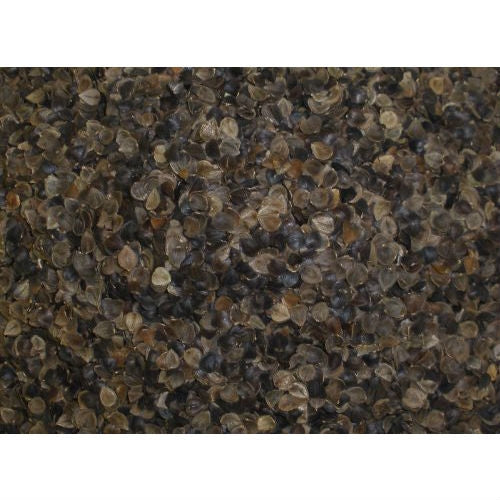 Almohada japonesa de trigo sarraceno orgánico de 14 x 20 pulgadas